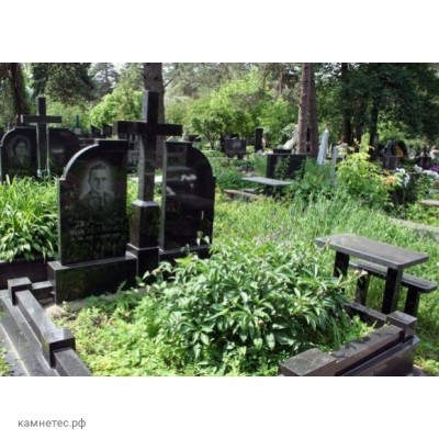 Надгробный памятник с оградой на двоих человек